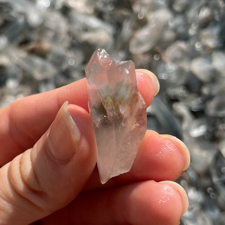 RAW BLUE TARA MINI POINTS LOT