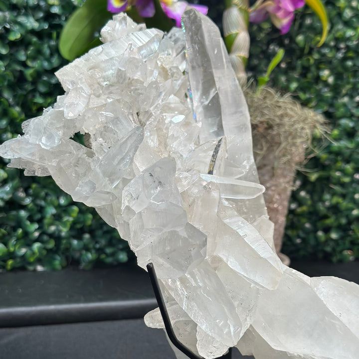 Laser Cluster w/ Black Rutile