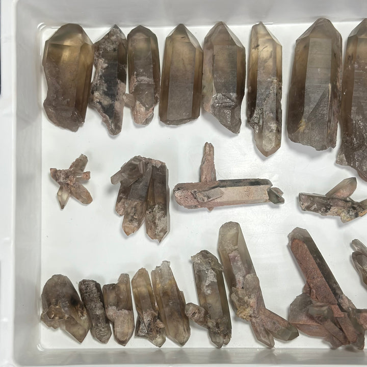 Smoky Garden Quartz Lot