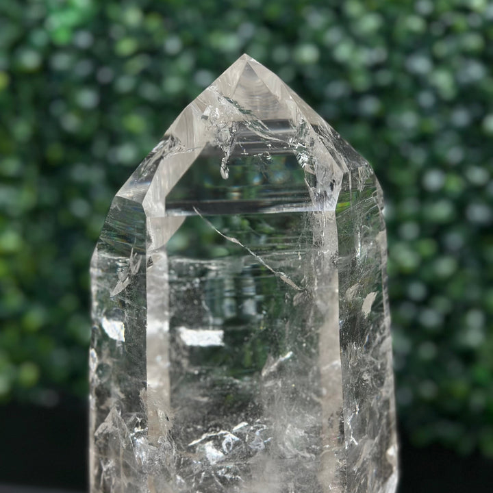 High Quality Semi Polished Lemurian
