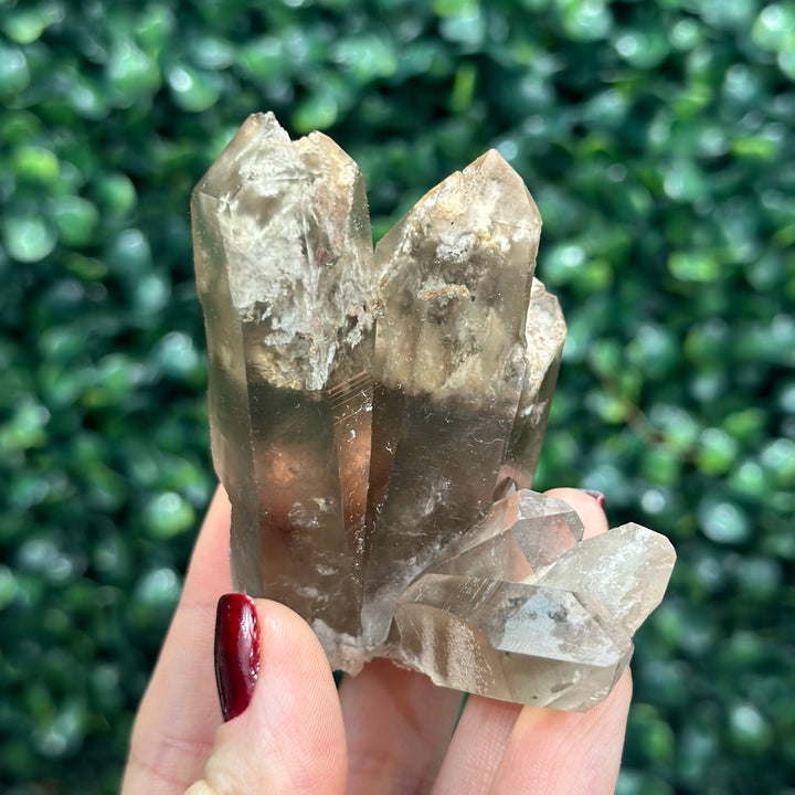 Smoky Garden Quartz Lot