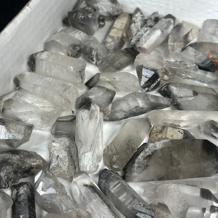 Raw Black Phantom Lemurian Lot