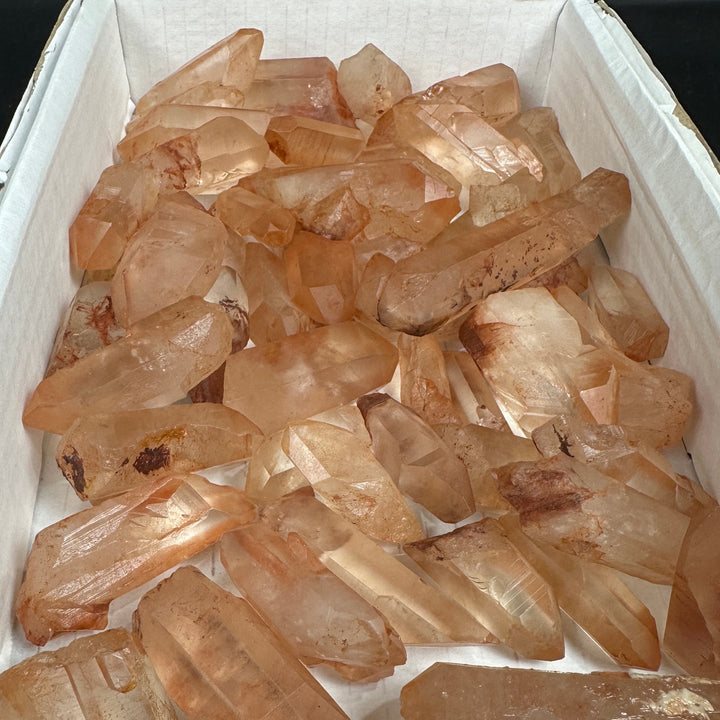 TANGERINE LEMURIA RAW POINTS WHOLESALE