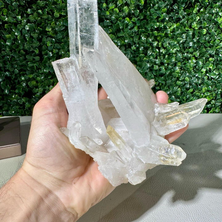 100% Natural Laser Cluster