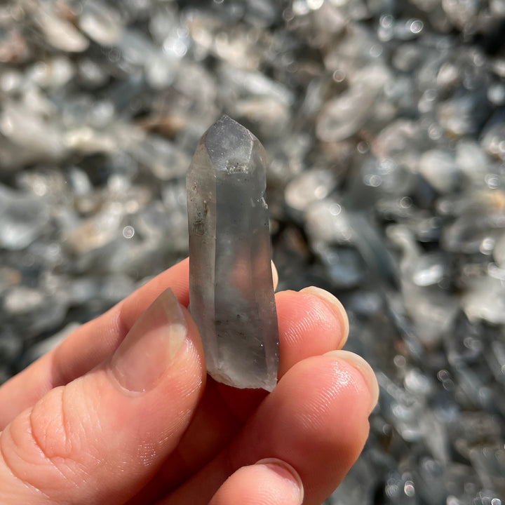 RAW BLUE TARA MINI POINTS LOT
