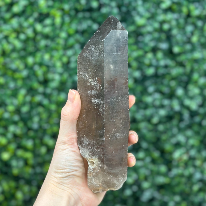 Smoky Diamantina Points Lot