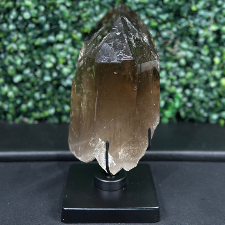 DT Smoky Quartz Celestial Semi Polished