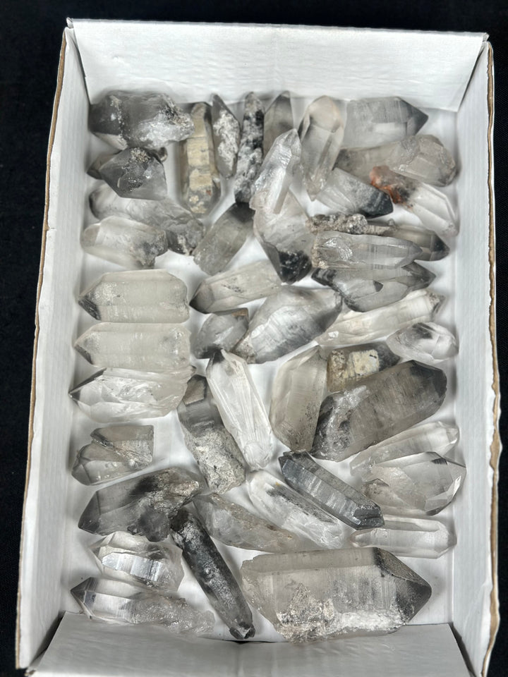 Raw Black Phantom Lemurian Lot