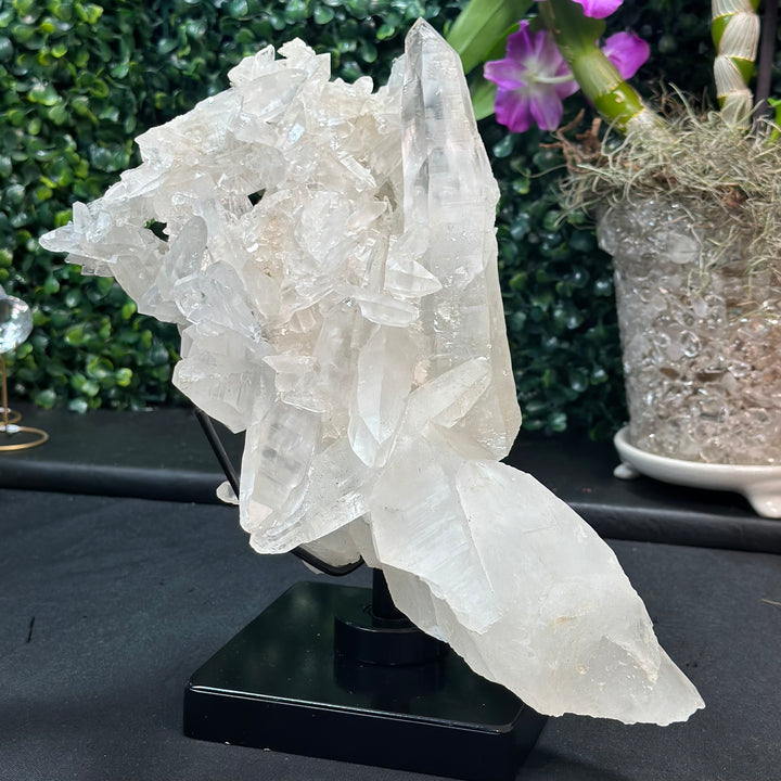 Laser Cluster w/ Black Rutile