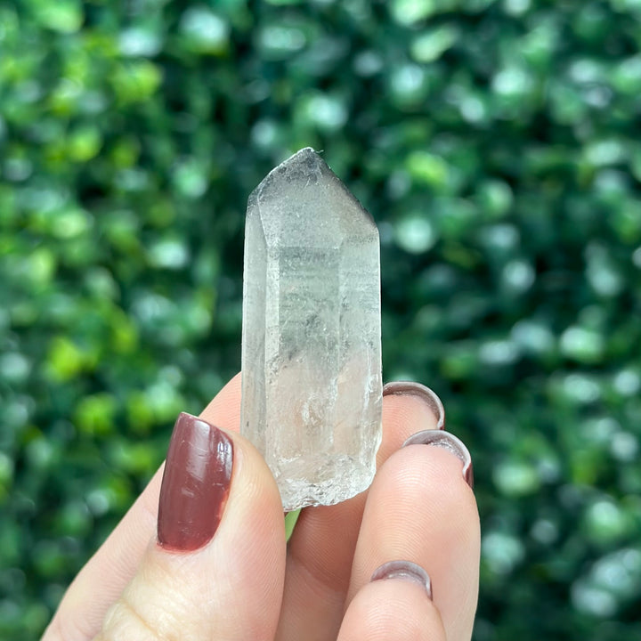 Raw Black Phantom Lemurian Lot