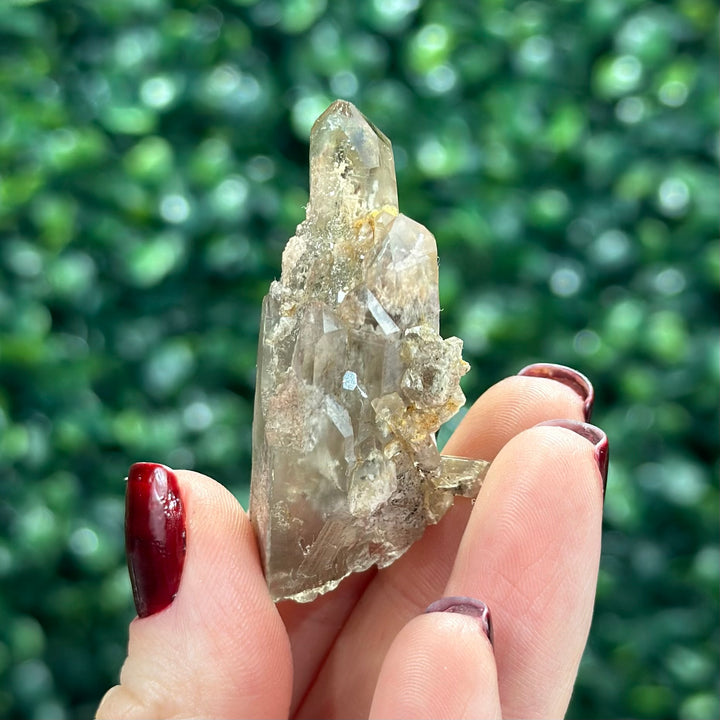 Smoky Garden Quartz Lot