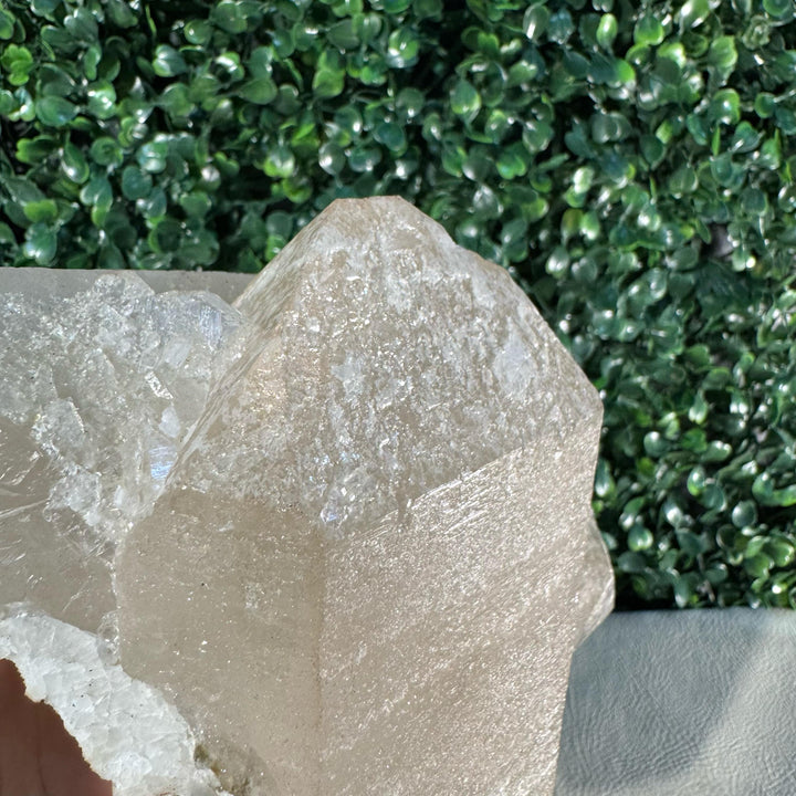 Raw Citrine w/ Spinning Stand
