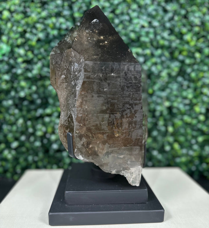 100% Natural Smoky Point W/ Stand