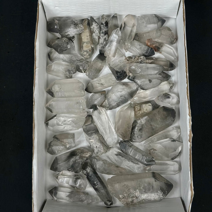Raw Black Phantom Lemurian Lot