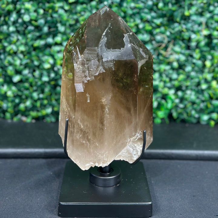 DT Smoky Quartz Celestial Semi Polished
