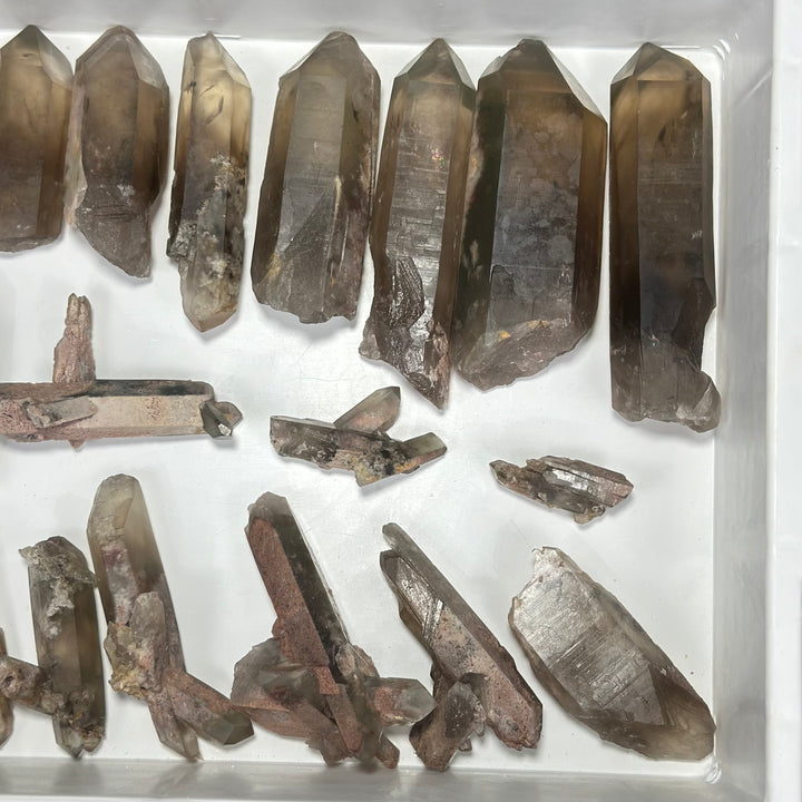 Smoky Garden Quartz Lot