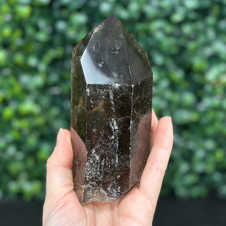 Smoky Diamantina Points Lot