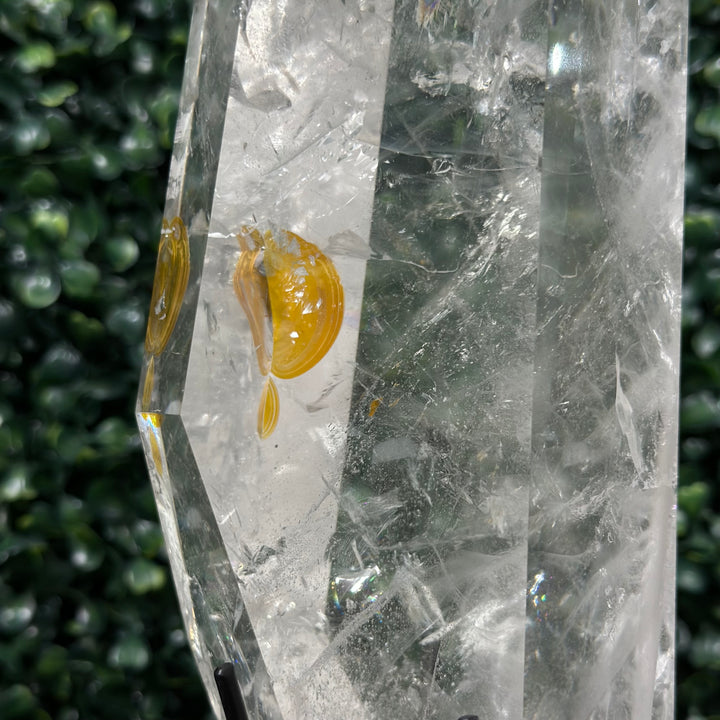 Lemurian Hematite Point w/ Stand