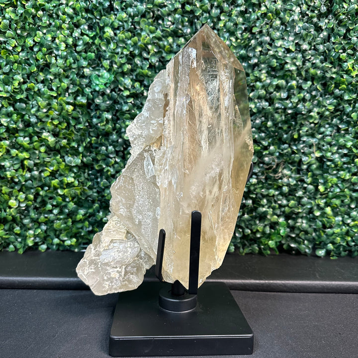 Semi Polished Elestial Citrine w/ Stand
