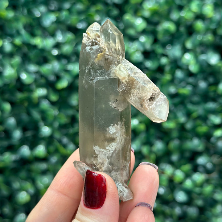 Smoky Garden Quartz Lot