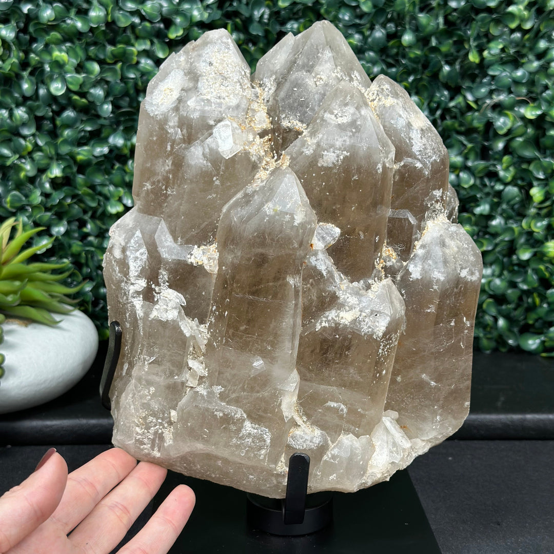 100% Natural Elestial Citrine w/ Stand