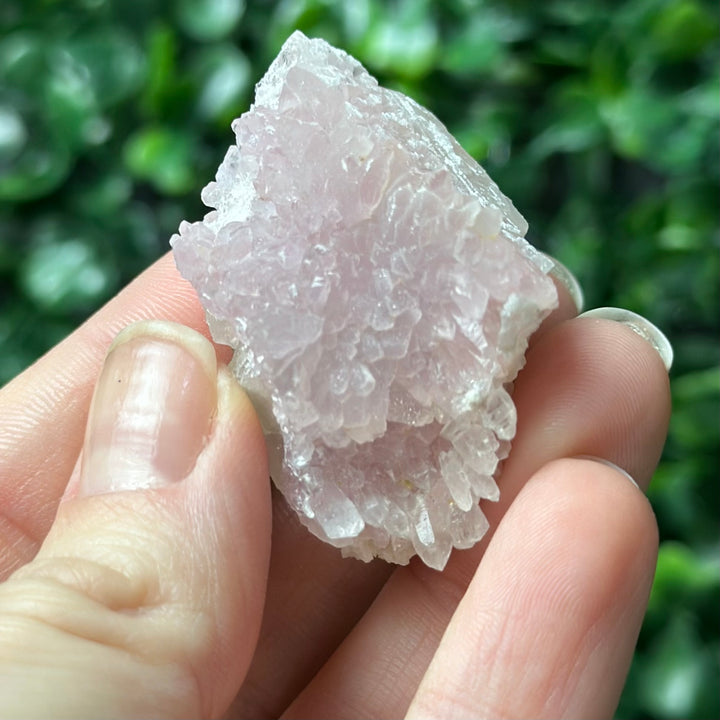 Raw Pink Canga Collections