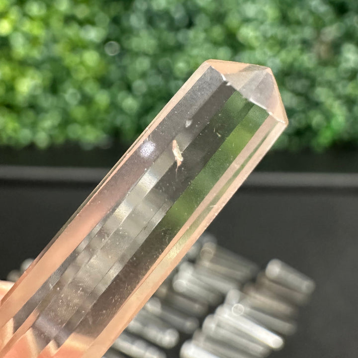 Clear Quartz Vogel 50 pieces Lot