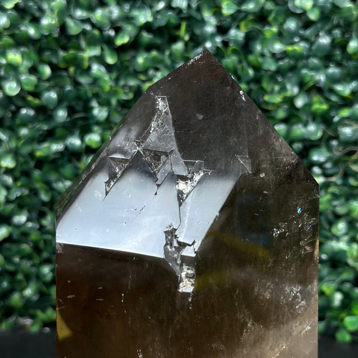 DT Smoky Quartz Celestial Semi Polished