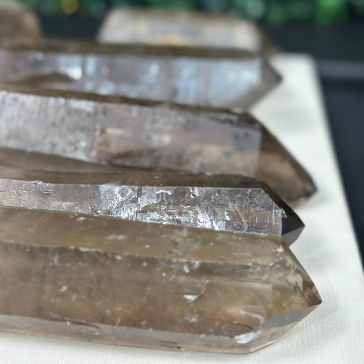 Smoky Diamantina Points Lot