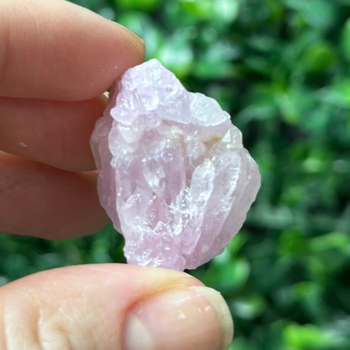 Raw Pink Canga Collections