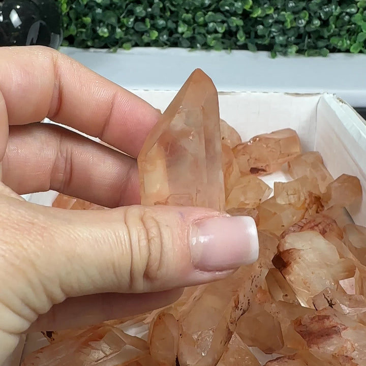 TANGERINE LEMURIA RAW POINTS WHOLESALE