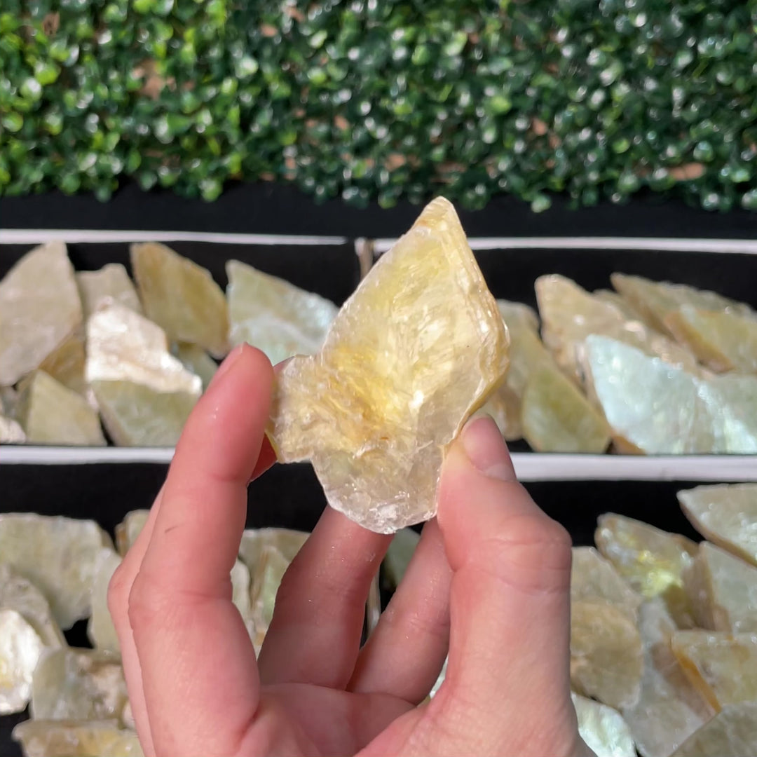Golden Mica Slices Arrows - Wholesale Bulk