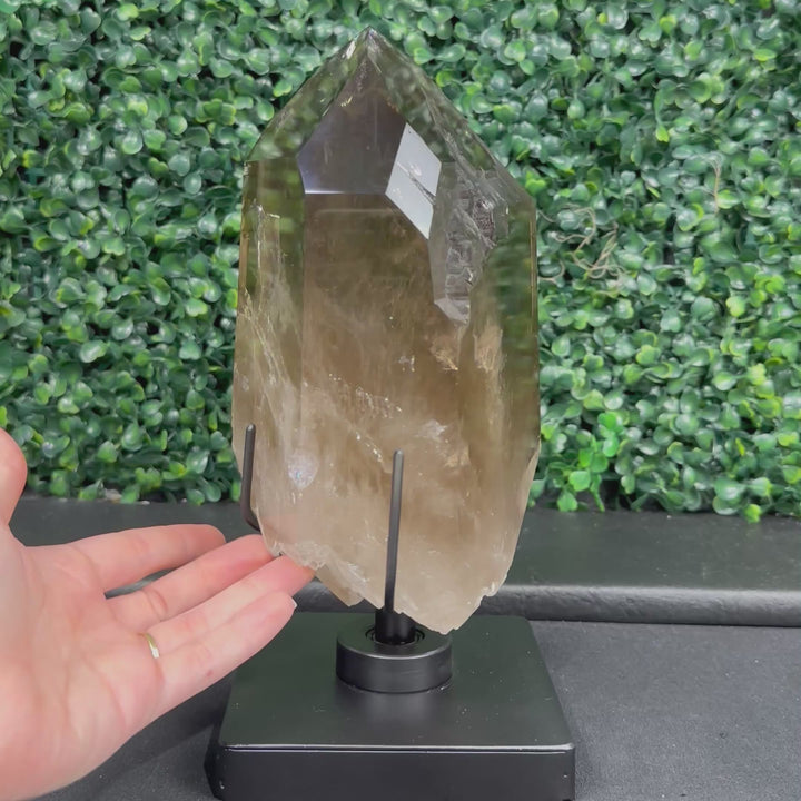 DT Smoky Quartz Celestial Semi Polished