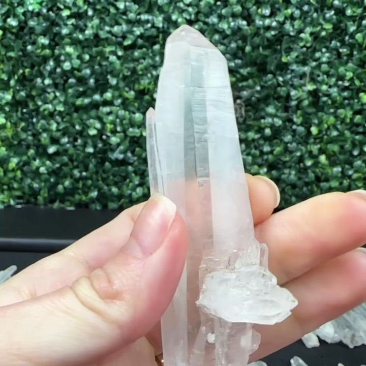 Raw Laser Diamantina Points