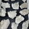 Cluster