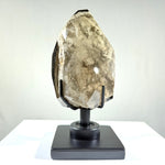 Smoky Garden Quartz Free Form With Stand