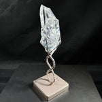 High Quality Faceted Lemurian With Stand