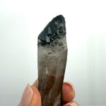Raw Lemurian Black Phantom Points Lot