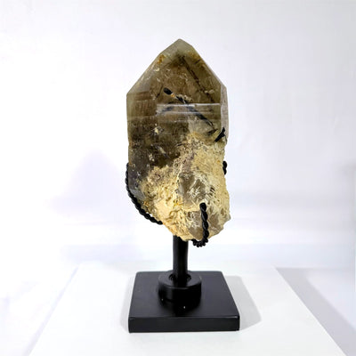 100% Natural Citrine with Tourmaline Inclusion from Amezoni Crystals, front view