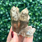 100% Natural Smoky Garden Quartz Lot shown for scale and natural variation