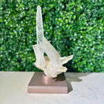 Side view of Diamantina Quartz Cluster - 100% Natural Laser Cluster showing natural crystal details