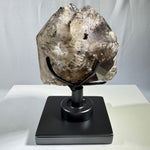 100% Natural Smoky Elestial With Stand
