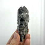 Raw Lemurian Black Phantom Points Lot