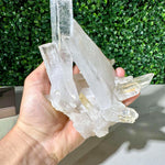 Diamantina Quartz Cluster - 100% Natural Laser Cluster shown for scale and natural variation