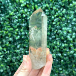 Green Gold Citrine - Heat Treated Point shown for scale and natural variation