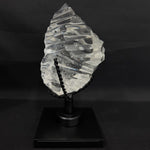 High Quality Semi Polished Faceted Lemurian Free Form With Stand