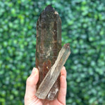 Close-up of Diamantina Quartz Point - Smoky Diamantina Points with visible color and formation