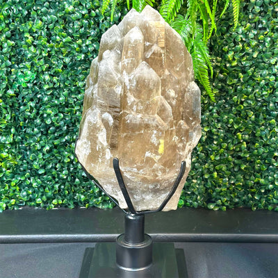 100% Natural Elestial Citrine - HQ Display Piece from Amezoni Crystals, front view
