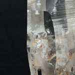 Lemurian Manifestation With Stand