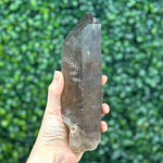 Diamantina Quartz Point - Smoky Diamantina Points shown for scale and natural variation